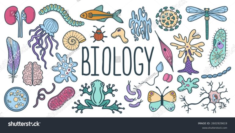 Introduction to Biology